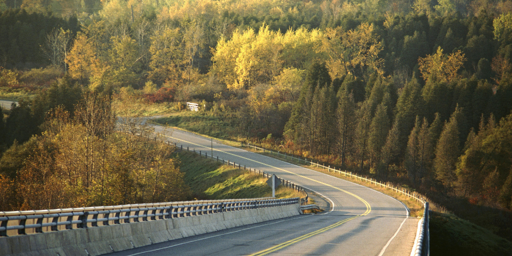 Compugen Earns HP’s Top Sustainability Honour, Raising the Bar for Responsible IT