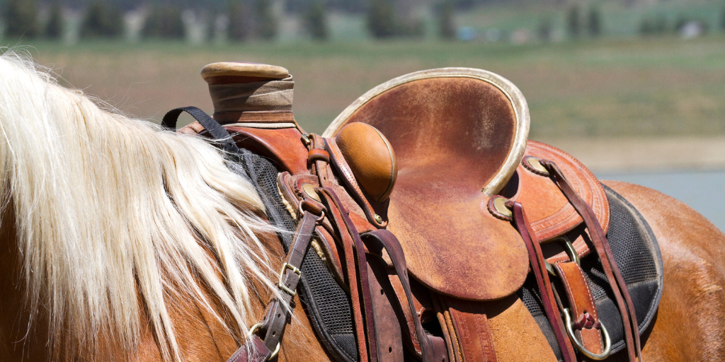 Register for Compugen’s Annual Stampede Bash 2025